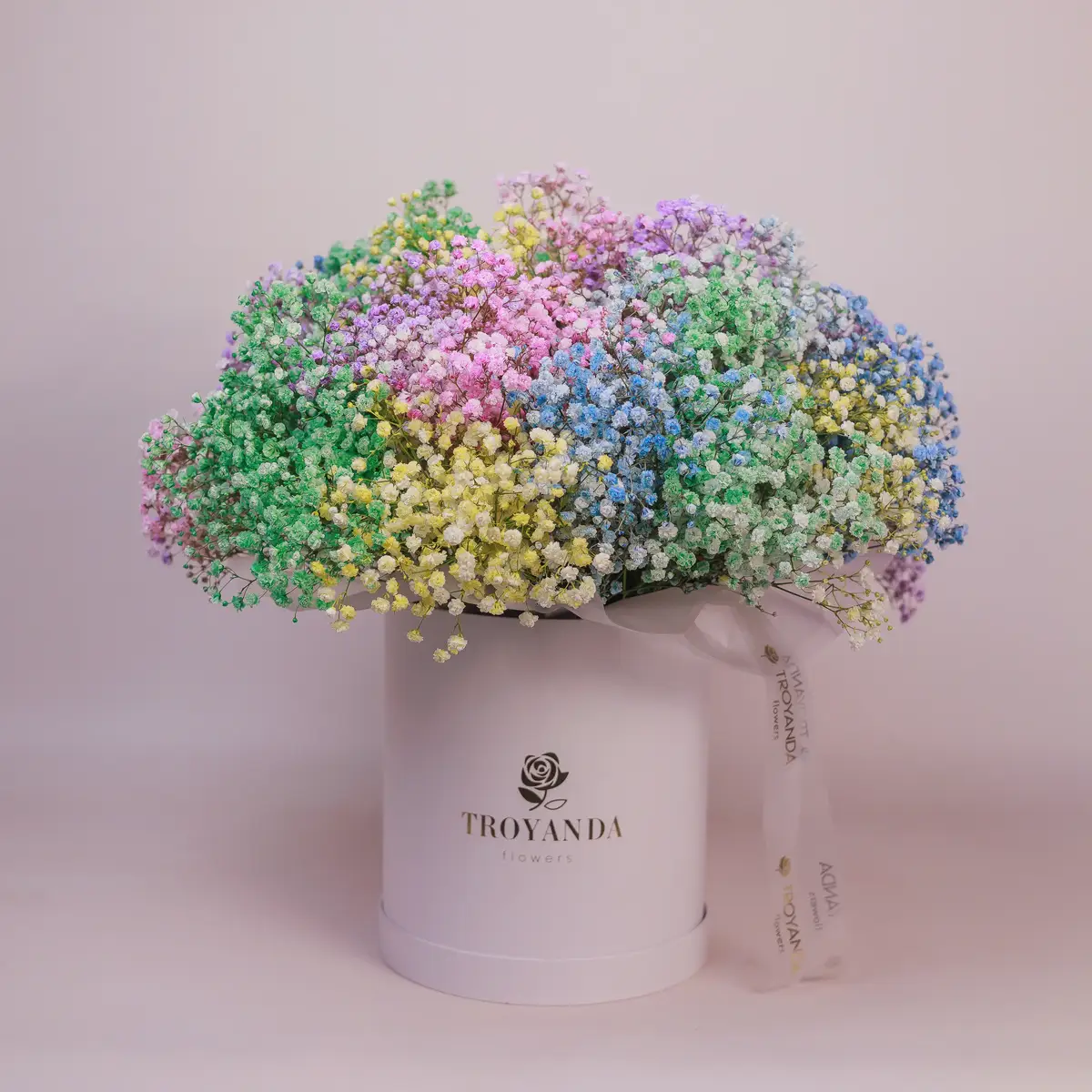 Бокс 29 Кольорових Гіпсофіл купити