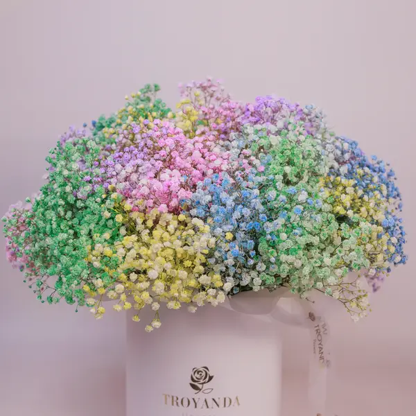 Бокс 29 Кольорових Гіпсофіл купити