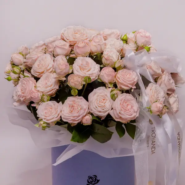 Бокс 25 Роз спрей Бомбастик купить