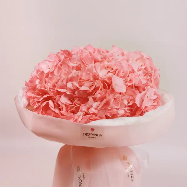 Букет 7 Коралових Гортензій купити