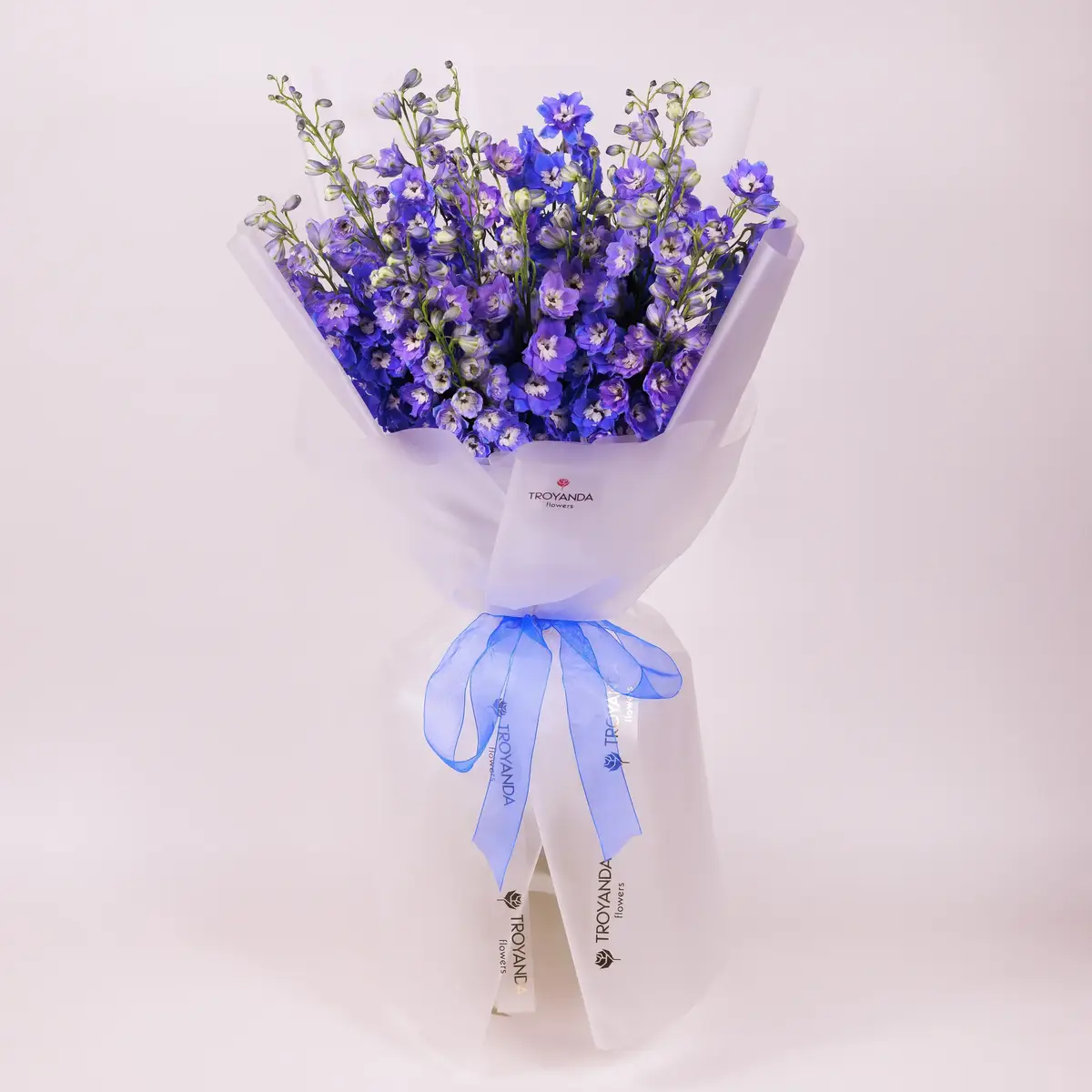 Букет 15 Ветвей Дельфиниума купить