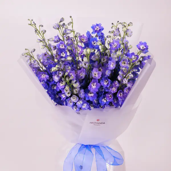 Букет 15 Ветвей Дельфиниума купить