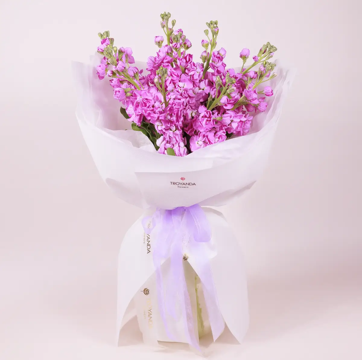 Букет 9 Рожевих Матіол купити