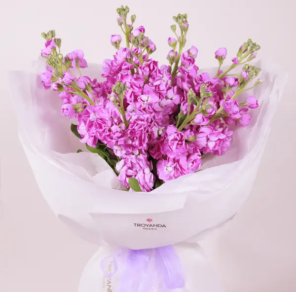 Букет 9 Рожевих Матіол купити