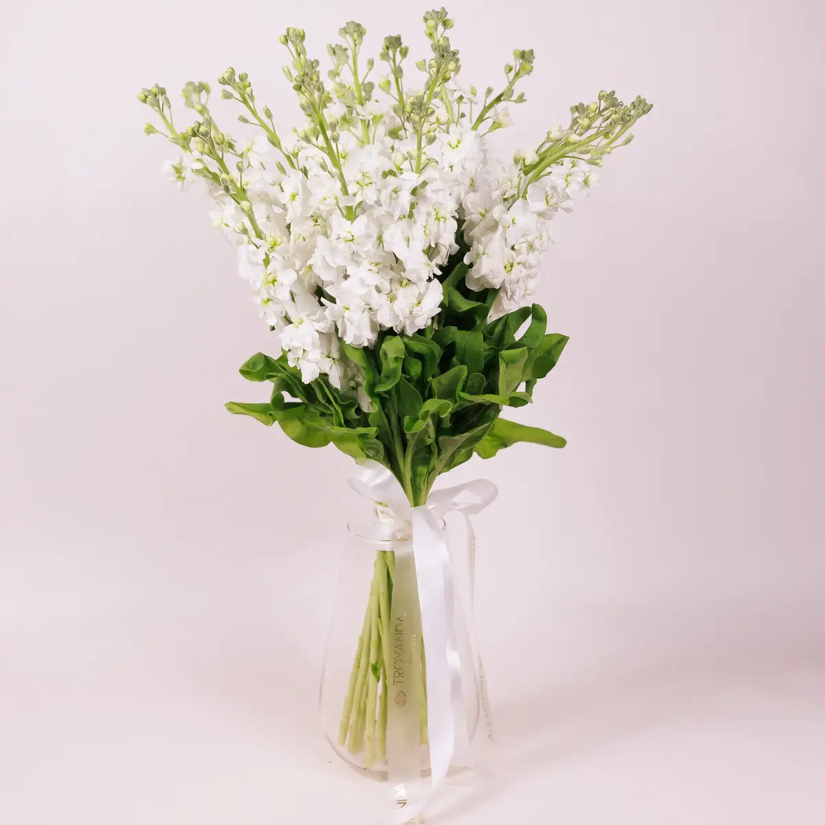 Букет 21 Біла Матіола купити