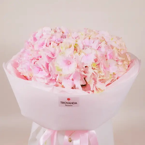 Букет 3 Рожевих Гортензії купити