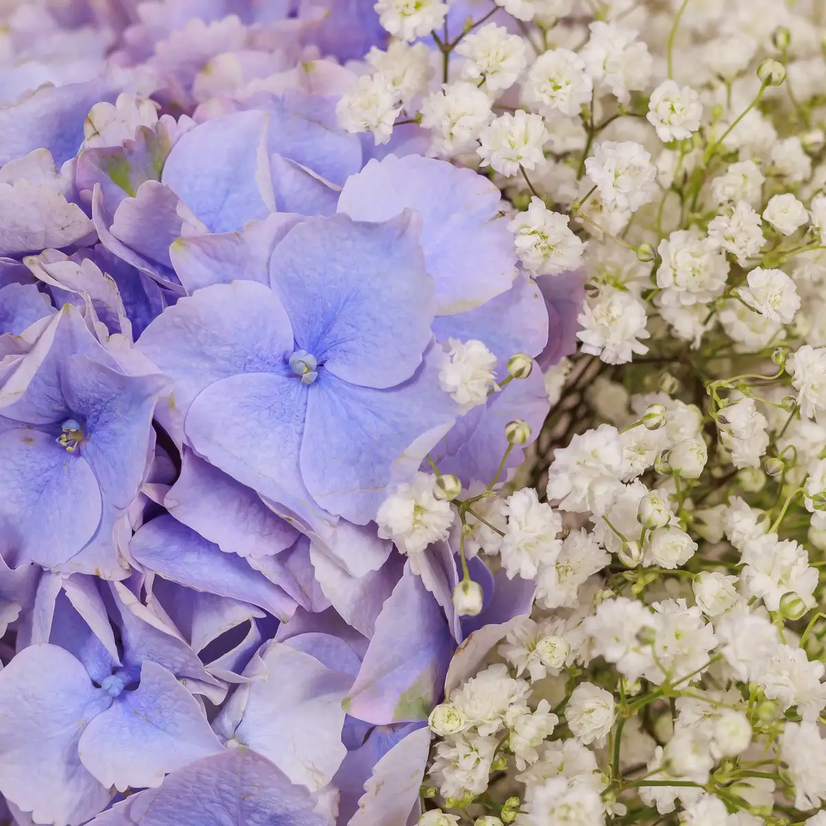 Букет Микс №342 купить недорого в Украине, фото 3