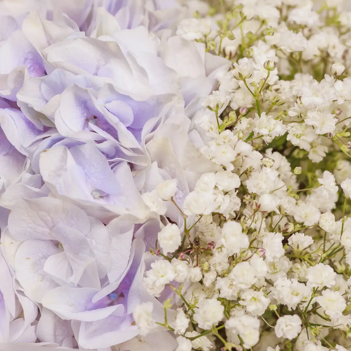 Букет Мікс №346 купити недорого в Україні, фото 3