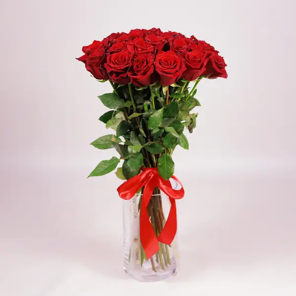 Букет 25 Троянд червоних Експлорер купити