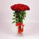 Букет 25 Троянд червоних Експлорер купити недорого в Україні, фото 702