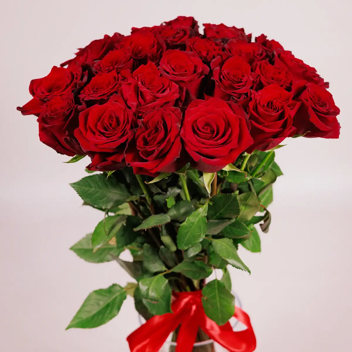 Букет 25 Троянд червоних Експлорер купити недорого в Україні, фото 2