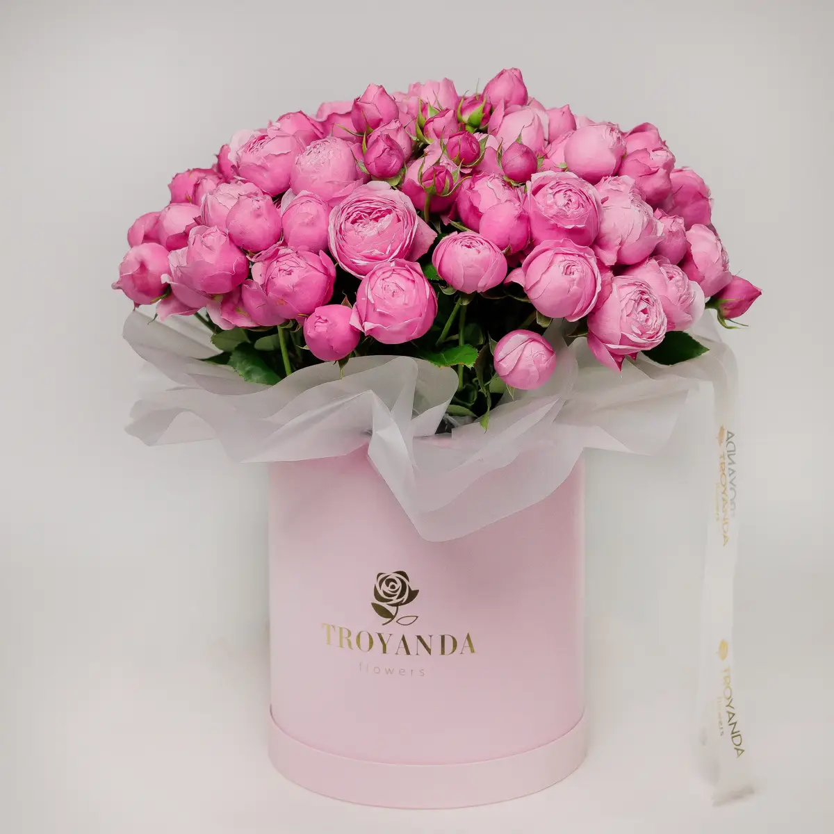 Бокс 35 Троянд спрей Сільва Пінк купити