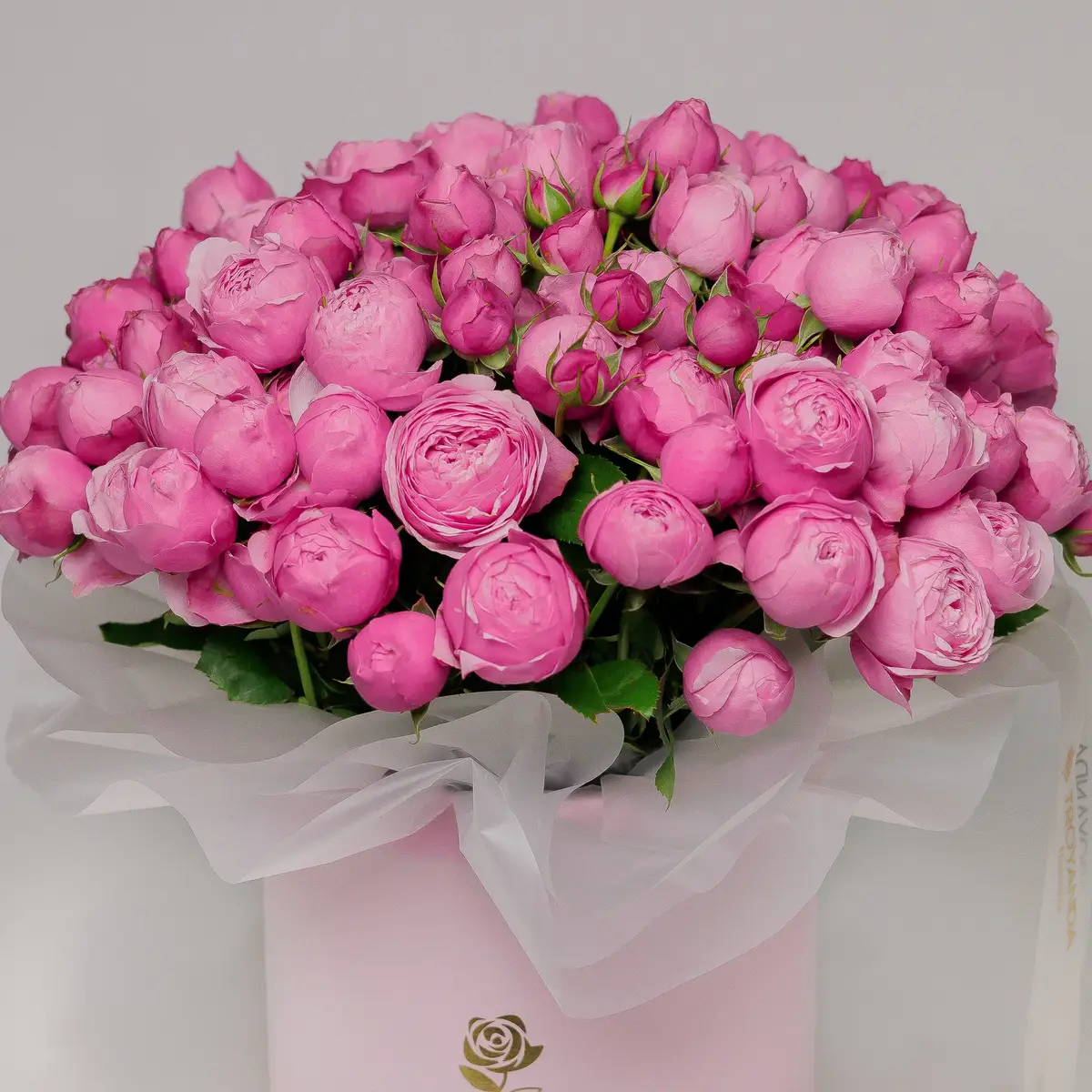 Бокс 35 Троянд спрей Сільва Пінк купити недорого в Україні, фото 2