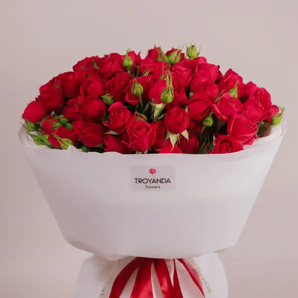 Букет 25 Троянд спрей Квінсі купити