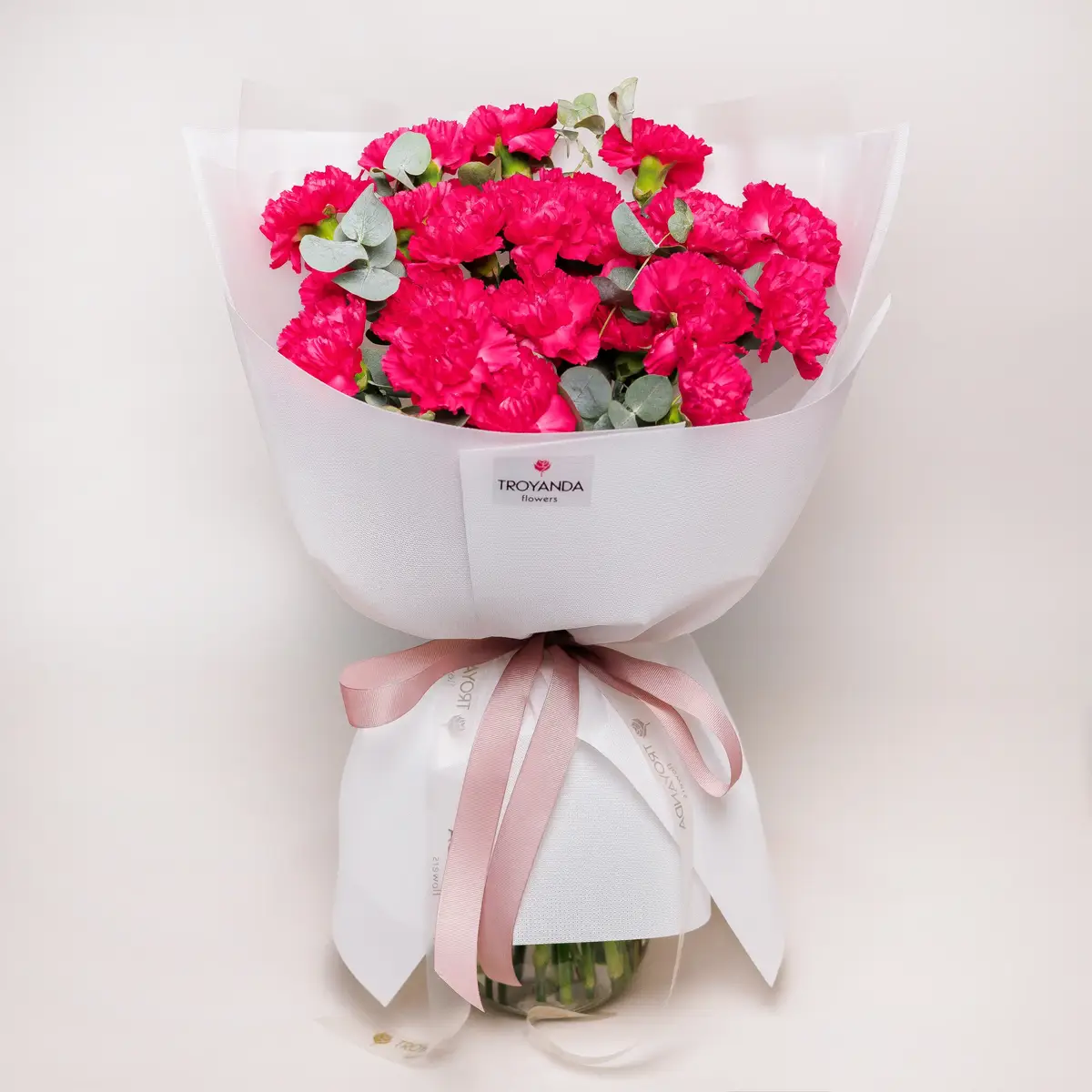Букет 25 Малиновых Гвоздик с эвкалиптом купить