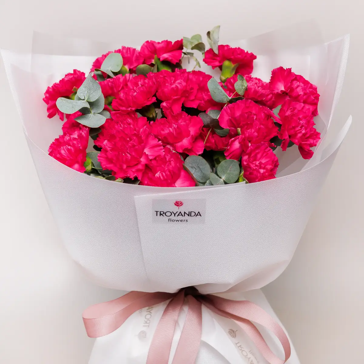 Букет 25 Малиновых Гвоздик с эвкалиптом купить недорого в Украине, фото 2