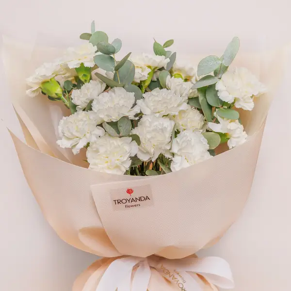 Букет 25 Белых Гвоздик с эвкалиптом купить