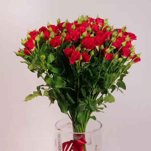 Букет 19 Роз спрей Мирабель купить