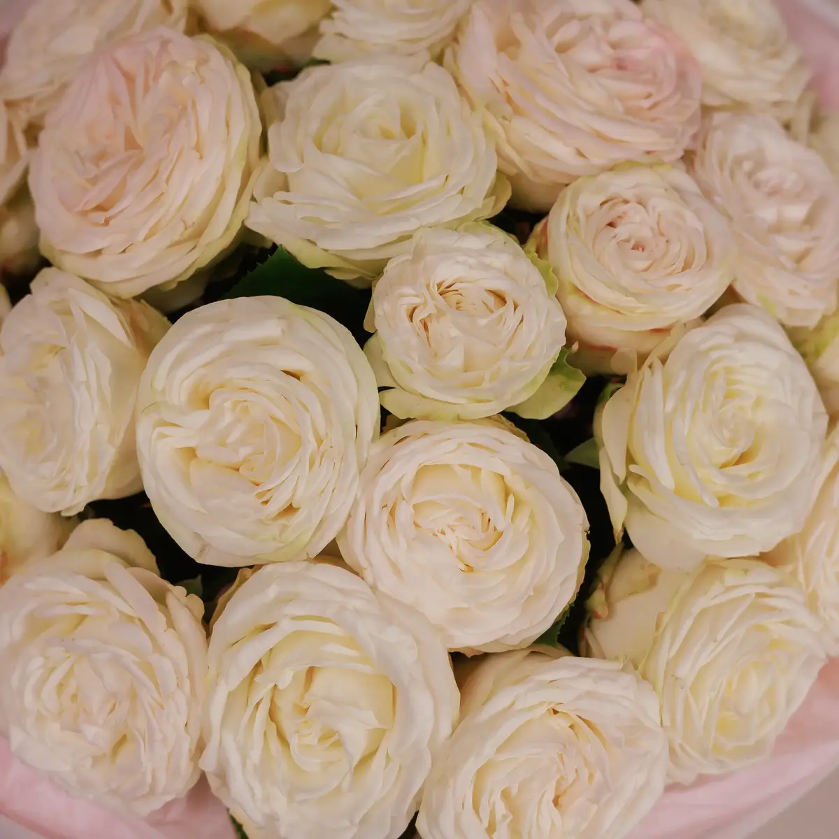 Букет 27 Роз Принцесса Бомбастик купить недорого в Украине, фото 3