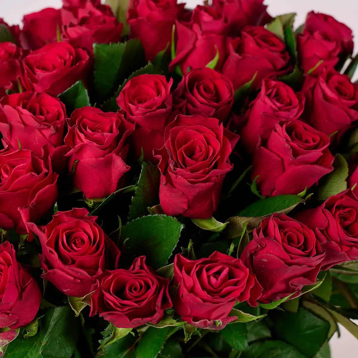 Букет 39 Роз красных Ред Такази купить недорого в Украине, фото 3