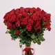 Букет 41 Троянда спрей Ред Трендсетер купити