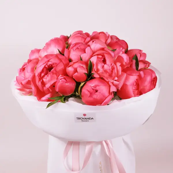 Букет 15 Коралловых Пионов Корал Шарм купить