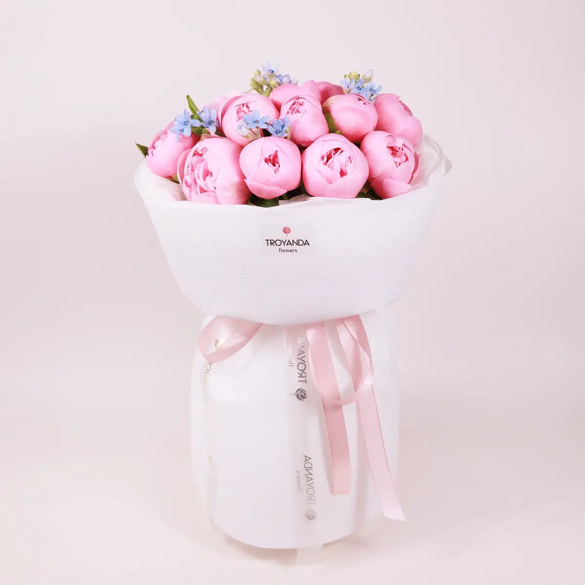 Букет 15 Рожевих Півоній Етчед Сальмон купити