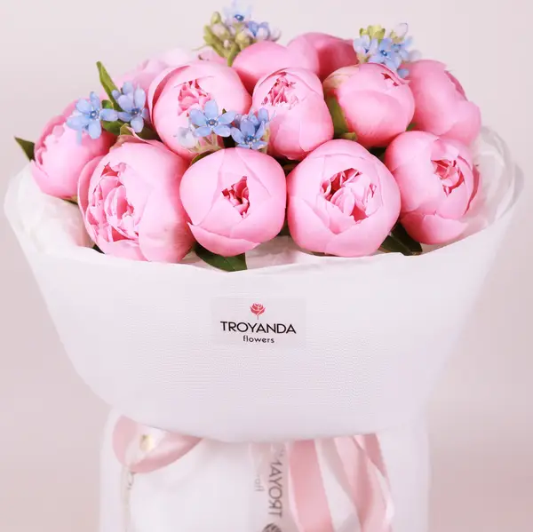 Букет 15 Рожевих Півоній Етчед Сальмон купити