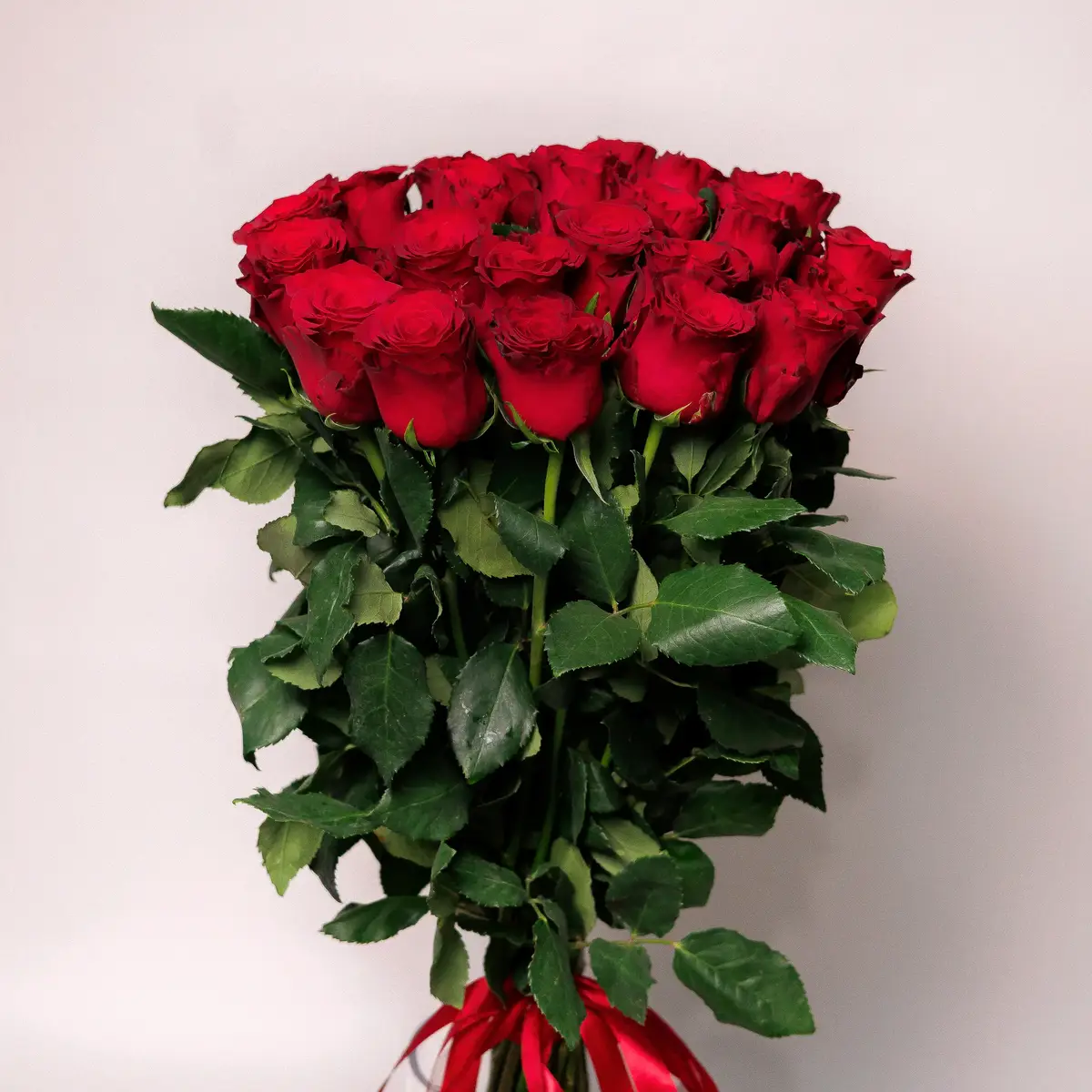 Букет 25 Троянд червоних Родос купити недорого в Україні, фото 2