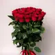 Букет 25 Троянд червоних Родос купити