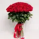 Букет 65 Троянд червоних Мадам Ред купити недорого в Україні, фото 849