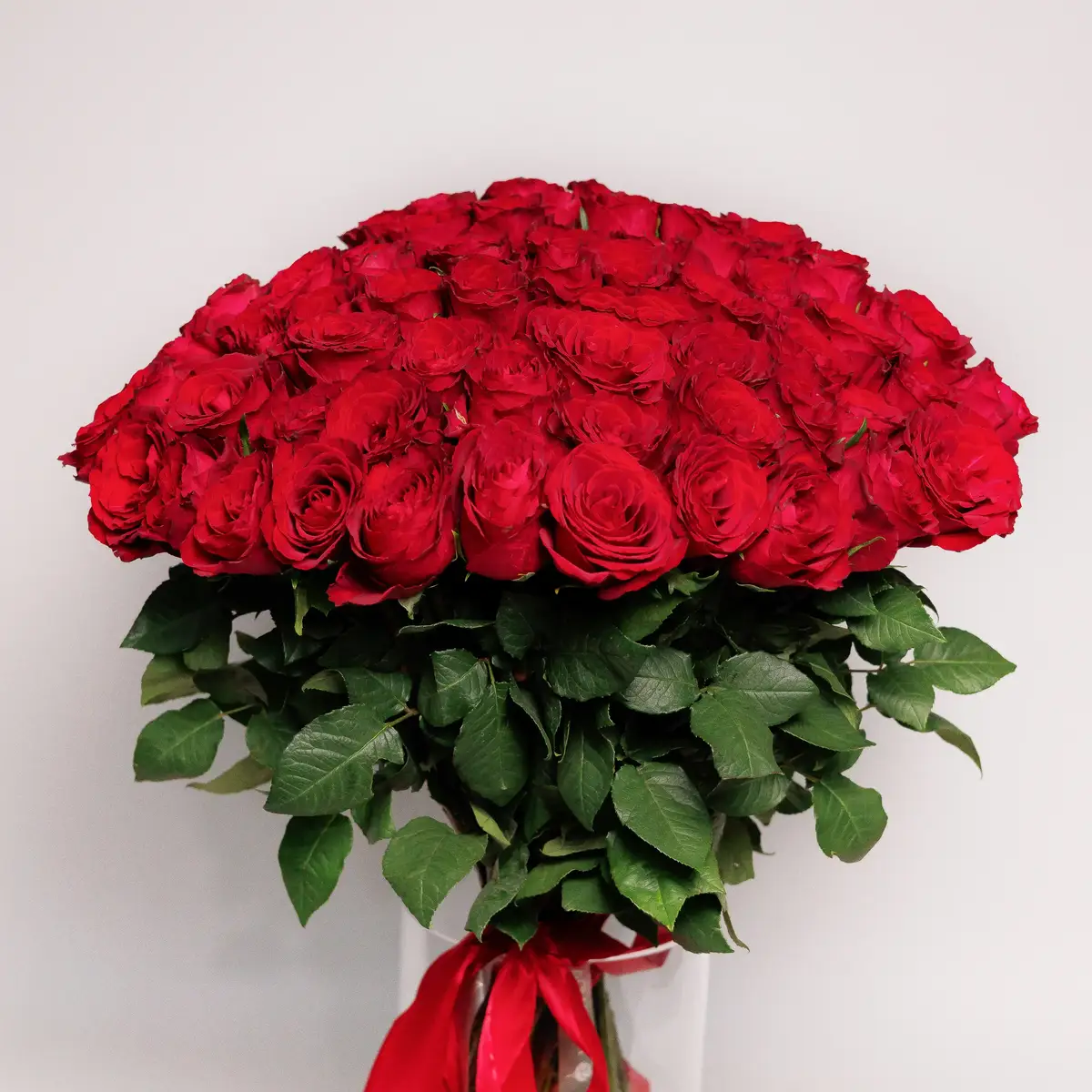 Букет 65 Троянд червоних Мадам Ред купити недорого в Україні, фото 2