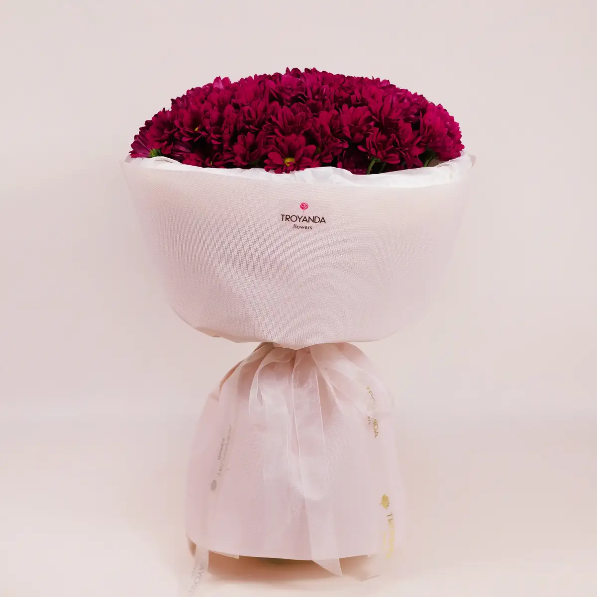 Букет 15 Малинових Хризантем Ромашка купити