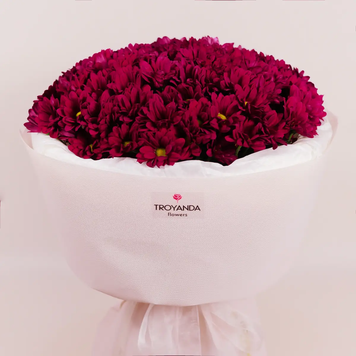 Букет 15 Малинових Хризантем Ромашка купити недорого в Україні, фото 2