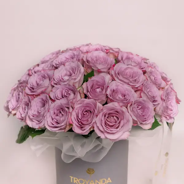 Бокс 55 Роз Мемори Лейн купити