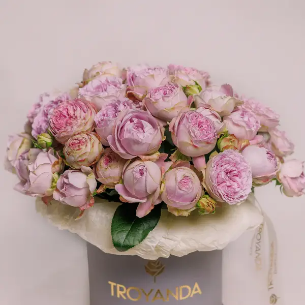 Бокс 19 Троянд спрей Блоссом Баблз купити