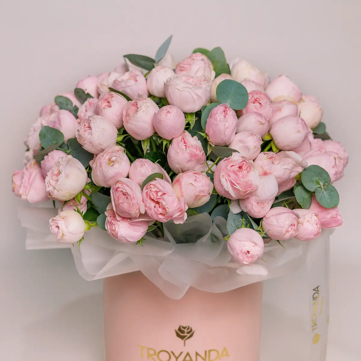 Бокс 35 Троянд спрей Менсфілд Парк купити недорого в Україні, фото 2