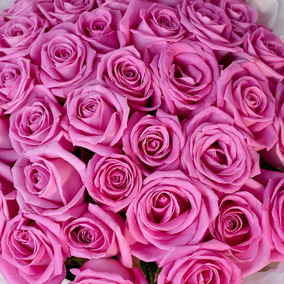 Букет 35 Троянд Аква купити недорого в Україні, фото 3