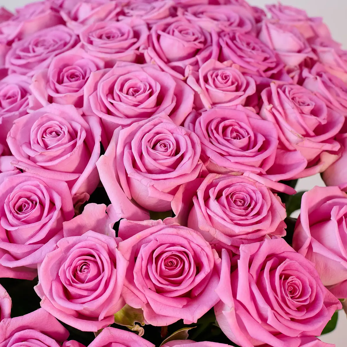 Букет 51 Троянда Аква купити недорого в Україні, фото 3