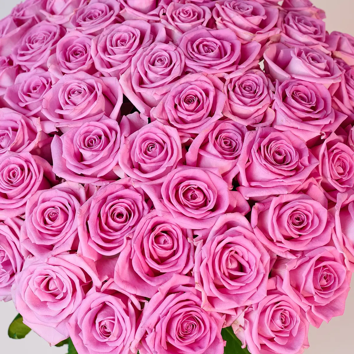 Букет 65 Троянд Аква купити недорого в Україні, фото 3