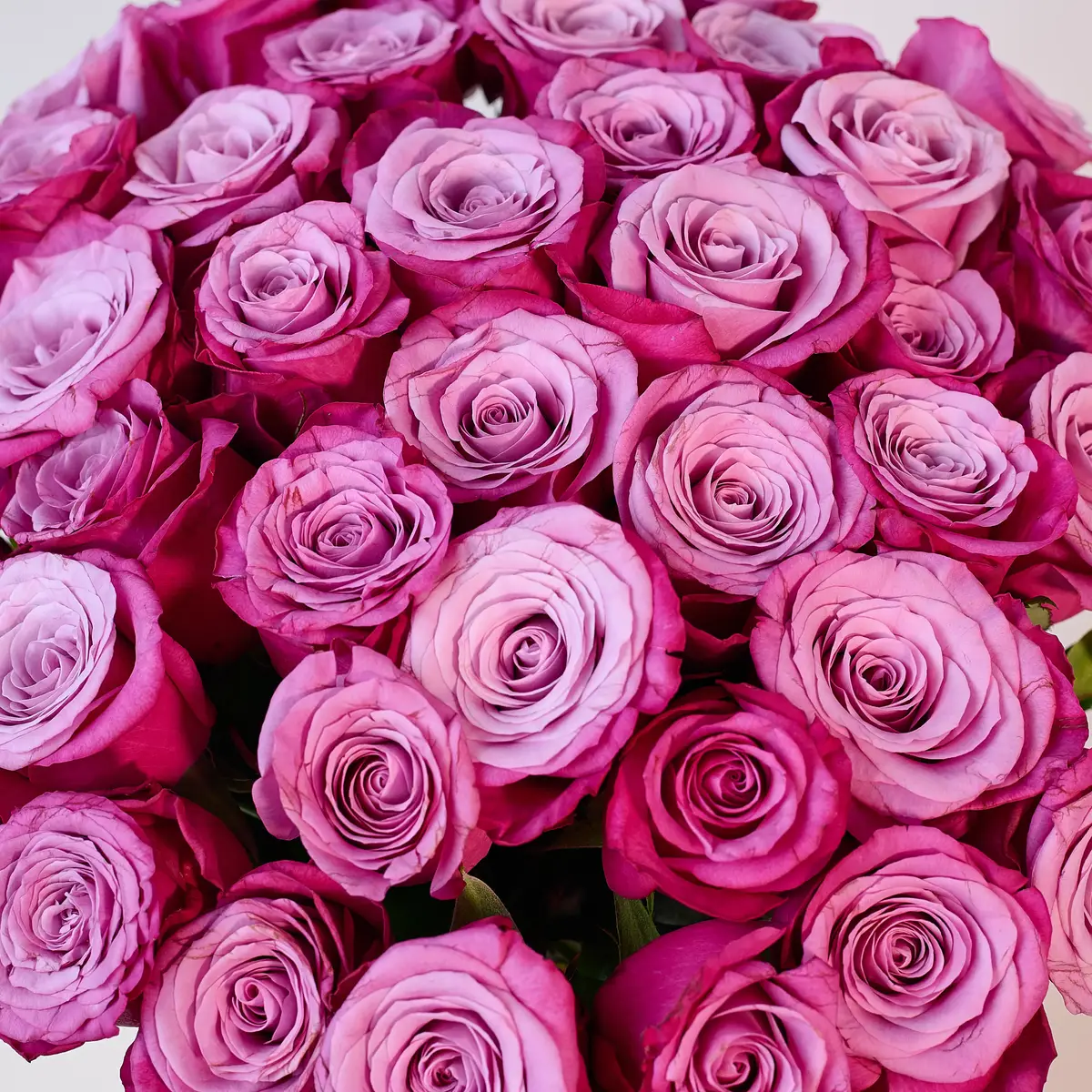 Букет 41 роза Принц Персии купить недорого в Украине, фото 3