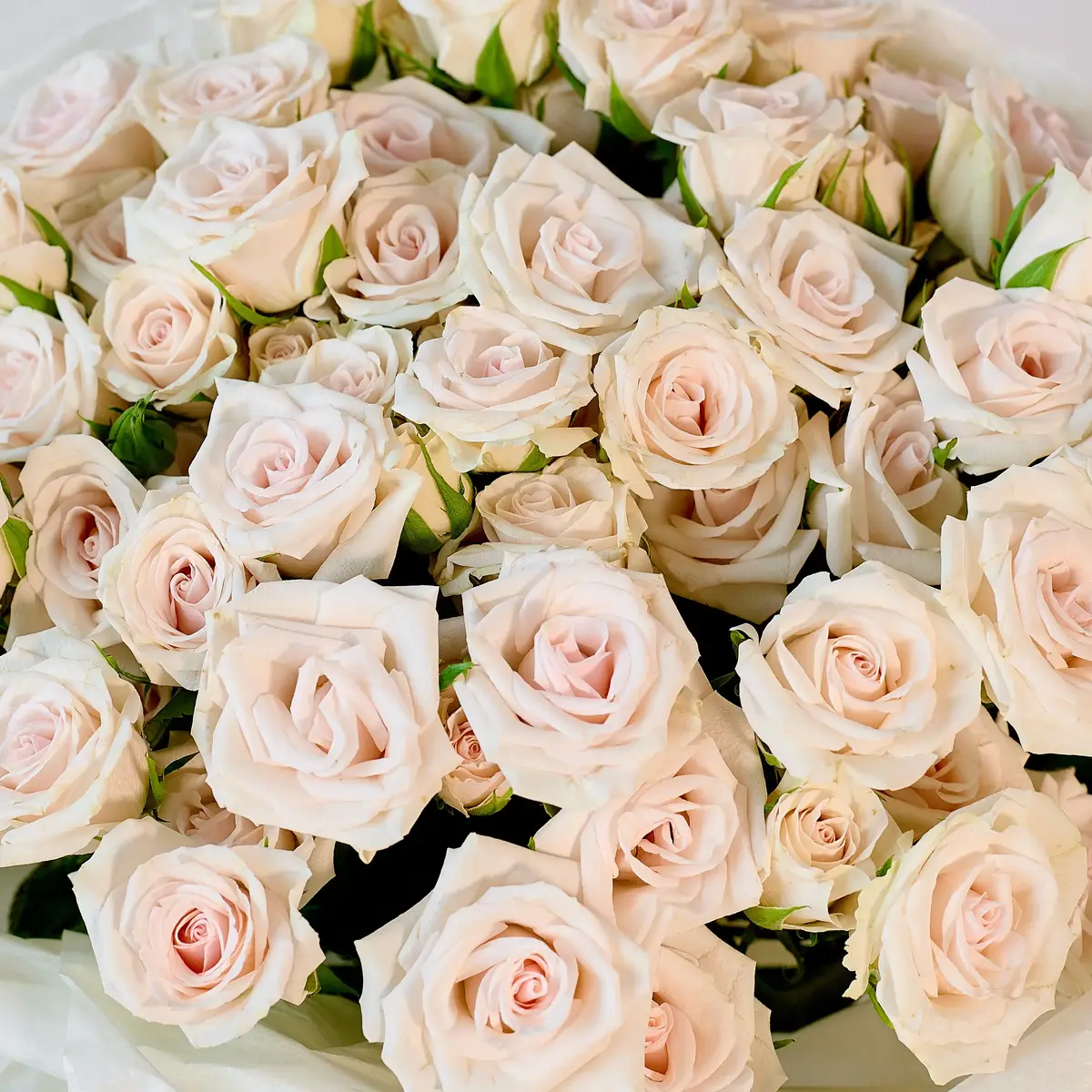 Букет 15 Троянд спрей Роял Порцеліна купити недорого в Україні, фото 3