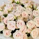 Букет 15 Троянд спрей Роял Порцеліна купити