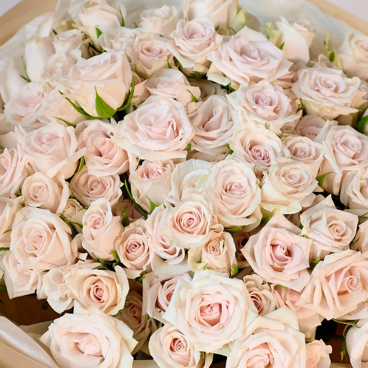 Букет 25 Троянд спрей Роял Порцеліна купити недорого в Україні, фото 3