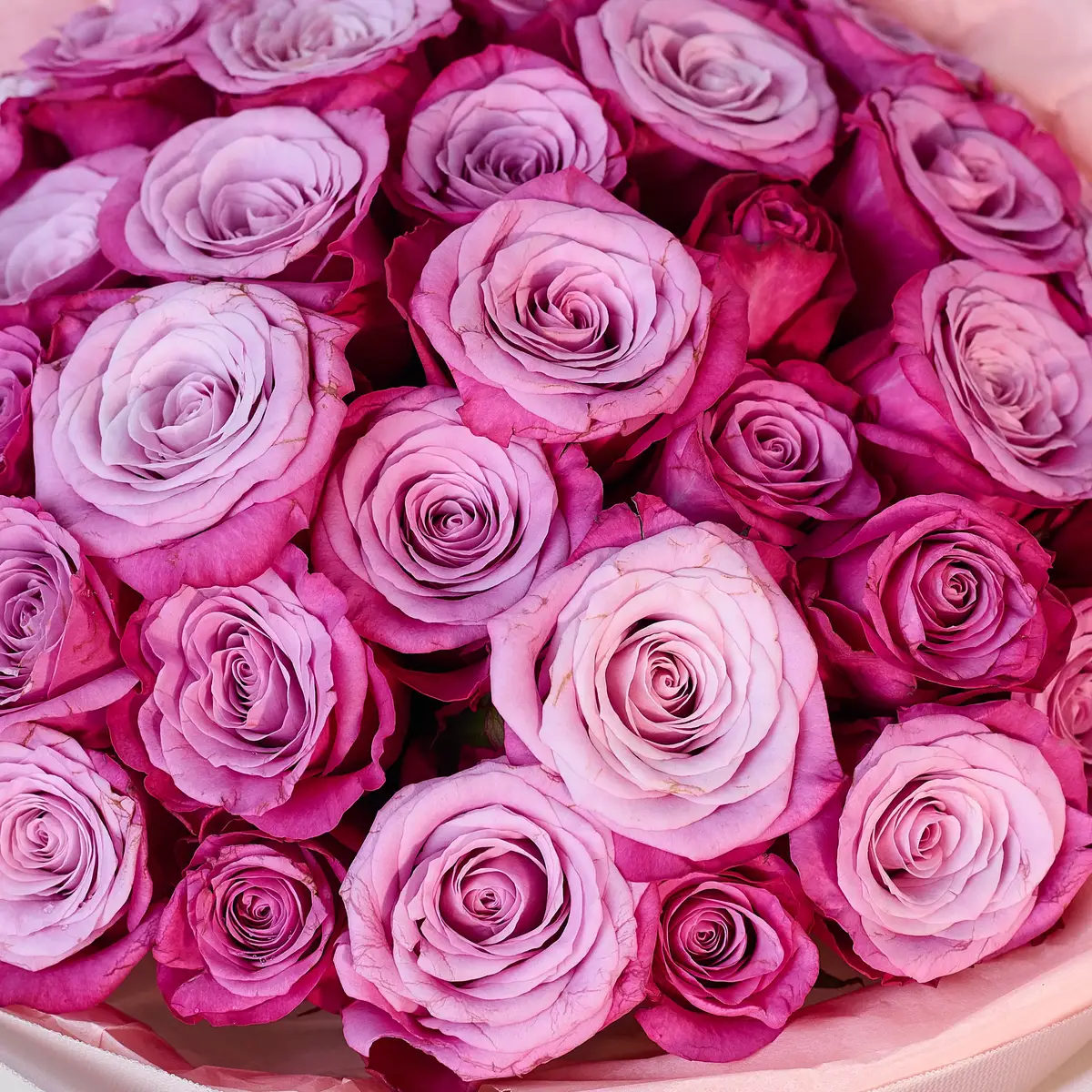 Букет из 35 роз принц Персии купить недорого в Украине, фото 3