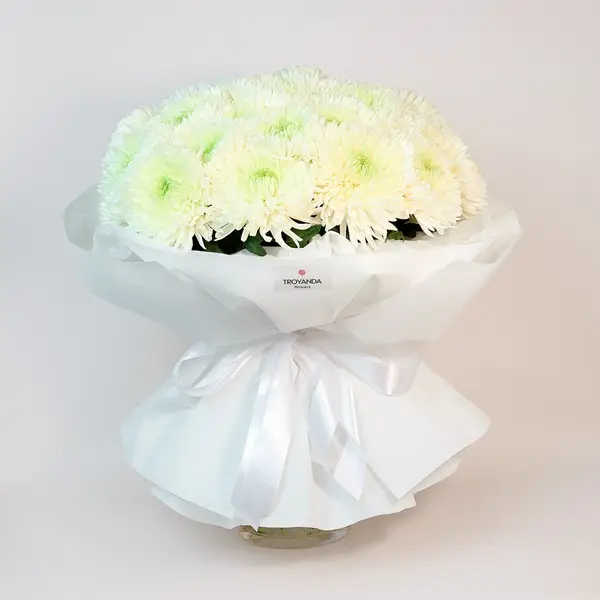 Букет из 25 однобутонных белых хризантем купить