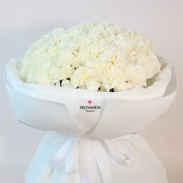 Букет 51 белая гвоздика купить
