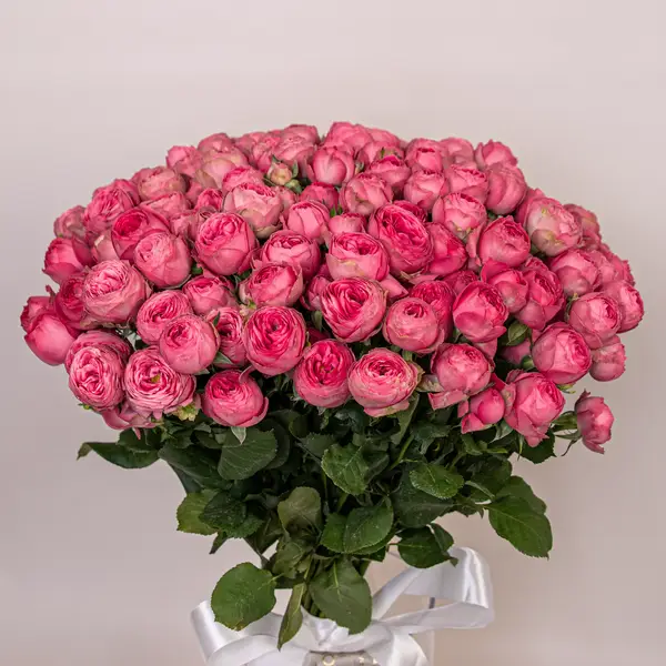 Букет 35 Троянд спрей Жизель купити