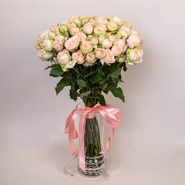 Букет 25 Троянд спрей Павлова купити