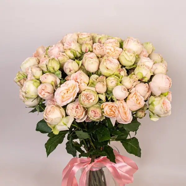 Букет 25 Троянд спрей Павлова купити